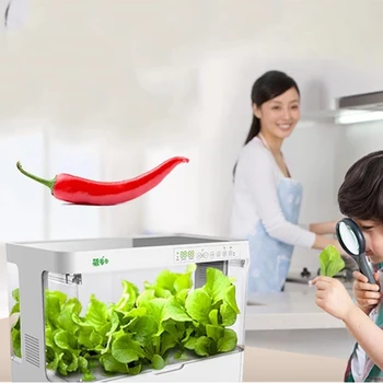 Интеллектуальная гидропонная сеялка, оборудование для беспочвенного выращивания, гидропонный овощной дом в помещении