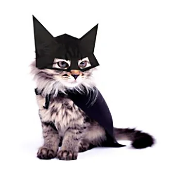 Кепка Kawaii Cat, костюмы для домашних животных на Хэллоуин, маска летучей мыши для кошки, щенка, маленьких собачек, праздничное платье на Хэллоуин, аксессуары для домашних животных